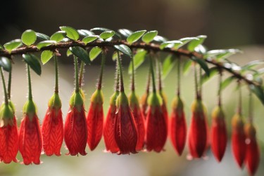 惠州博罗8私人快速借钱网，轻松解决资金难题