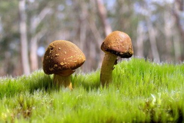 惠州博罗8私人老板放款：轻松融资的秘密通道